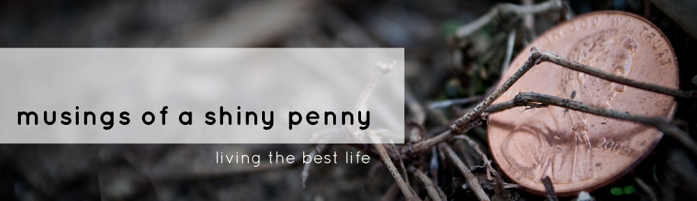 musings of a shiny penny